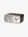 GENEVA Time
